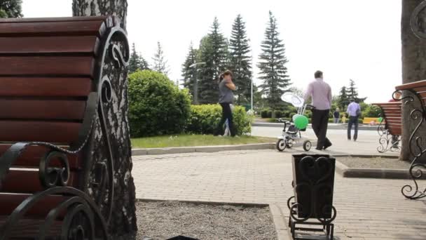 公园里的长椅 — 图库视频影像