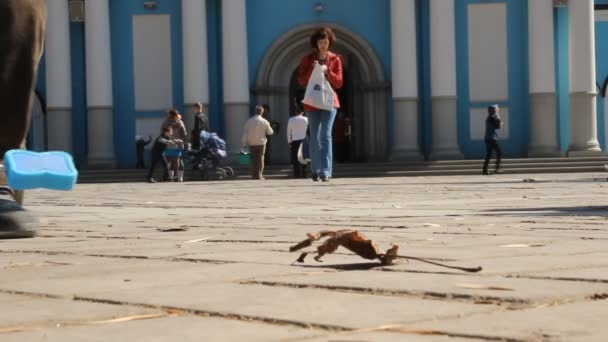 Ρωσική Ορθόδοξη εκκλησία. το εσωτερικό, εικονίδια, κερί, ζωή. — Αρχείο Βίντεο