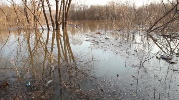 Contaminación del agua — Vídeos de Stock