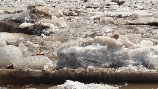 Dérive de glace. Russie, printemps, un grand fleuve — Video