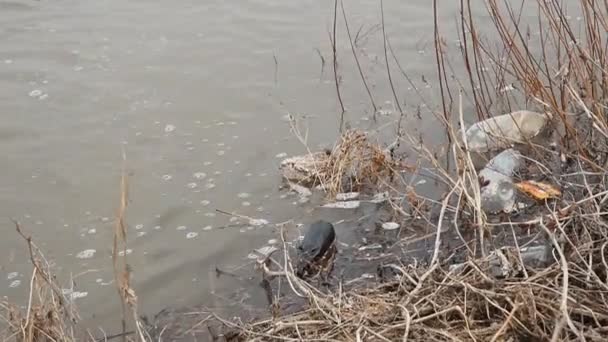 Забруднення води — стокове відео