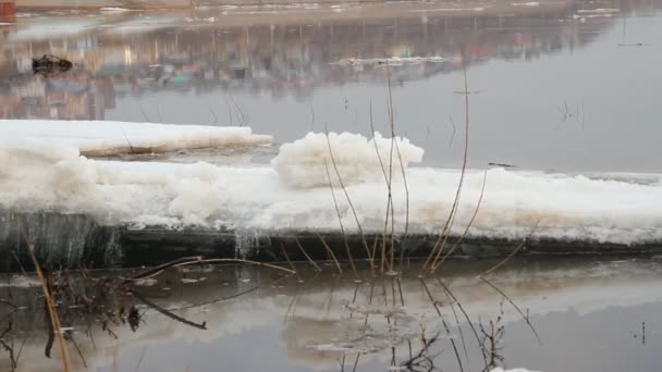 Contaminación del agua — Vídeos de Stock