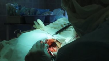 işlem. cerrahi masa. implantasyon
