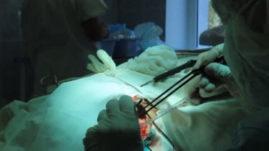 işlem. cerrahi masa. implantasyon