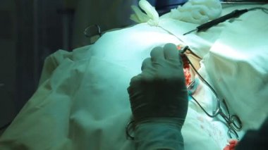 işlem. cerrahi masa. implantasyon
