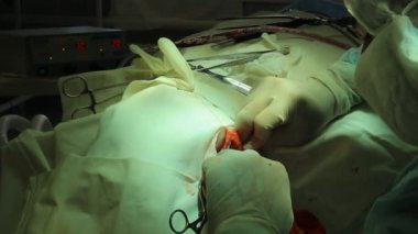 işlem. cerrahi masa. implantasyon