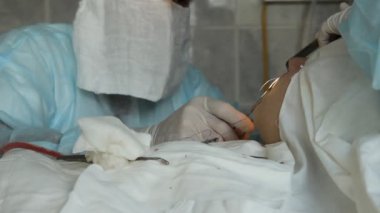 işlem. cerrahi masa. implantasyon. Rusya