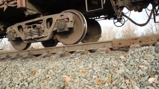 Ferrocarriles rusos. Locomotoras, vagones . — Vídeo de stock