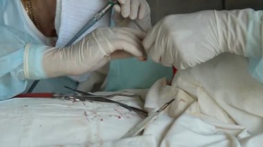 işlem. cerrahi masa. implantasyon. Rusya