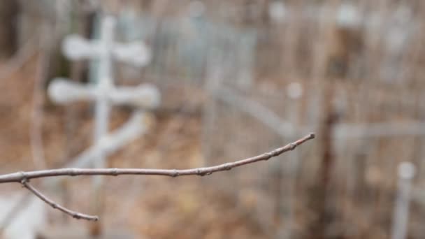 Cementerio ortodoxo (ruso) — Vídeos de Stock