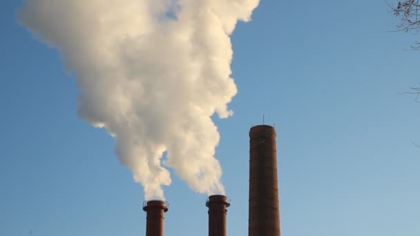 Värmekraftverket, röken från skorstenen. Generering, energi — Stockvideo