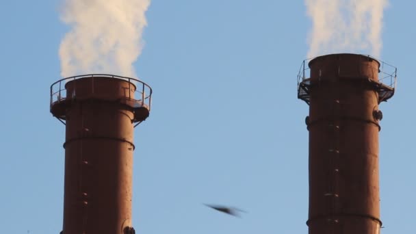 Wärmekraftwerk, Rauch aus dem Schornstein. Erzeugung, Energie — Stockvideo