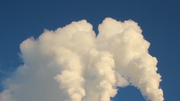 La centrale thermique, la fumée de la cheminée. Production, énergie — Video