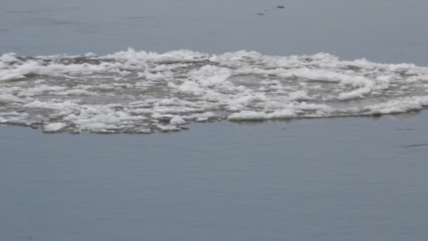 Hielo flotando en el río — Vídeos de Stock