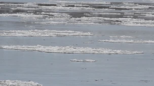 Glace flottant sur la rivière — Video