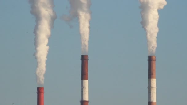 열 발전소, 굴뚝에서 나오는 연기. 세대, 에너지 — 비디오