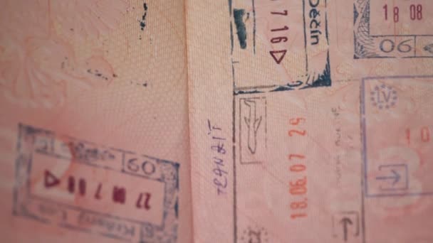 Un passaporto con visti e timbri — Video Stock