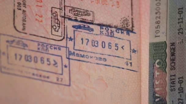 Un pasaporte con visas y sellos — Vídeos de Stock