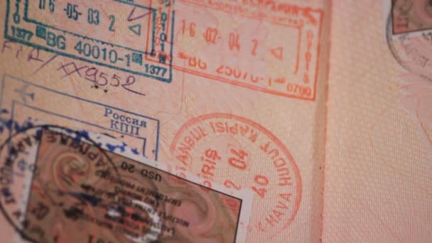 Un passaporto con visti e timbri — Video Stock