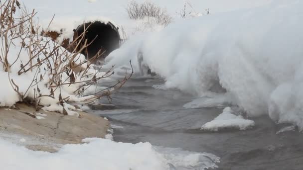 Fırtına kentsel kanalizasyon — Stok video