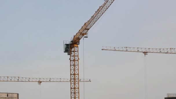 Grúa de construcción de elevación. sitio de construcción — Vídeos de Stock