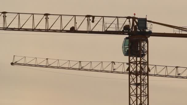 Chariot élévateur. chantier de construction — Video