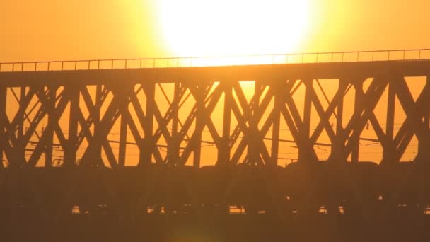 Zug auf der Brücke bei Sonnenuntergang. Eisenbahn. — Stockvideo