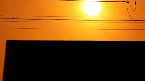 Goederentrein. zonsondergang — Stockvideo