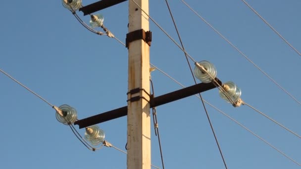 Electricity pole with wires — Stock Video