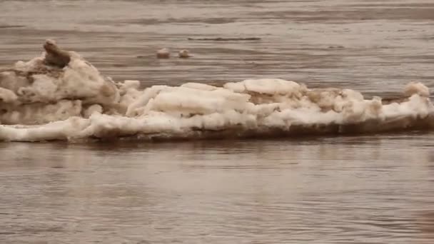 Eis schwimmt auf dem Fluss — Stockvideo