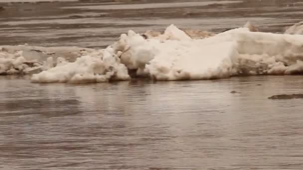 Лед, плавающий по реке — стоковое видео