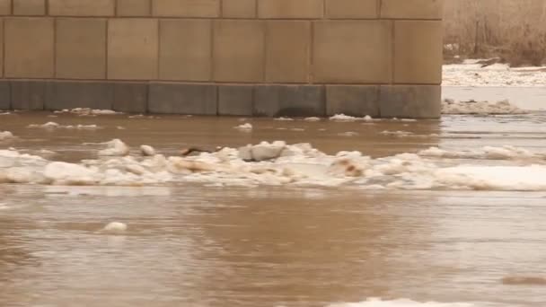 Gelo a flutuar no rio — Vídeo de Stock