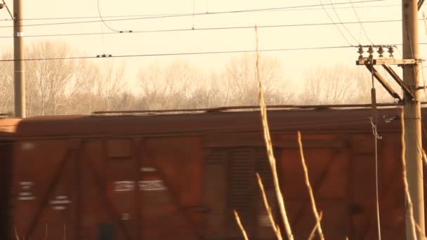 Ferrocarril. Tren de mercancías en movimiento — Vídeo de stock