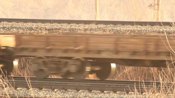 Železnice. nákladní vlak v pohybu — Stock video