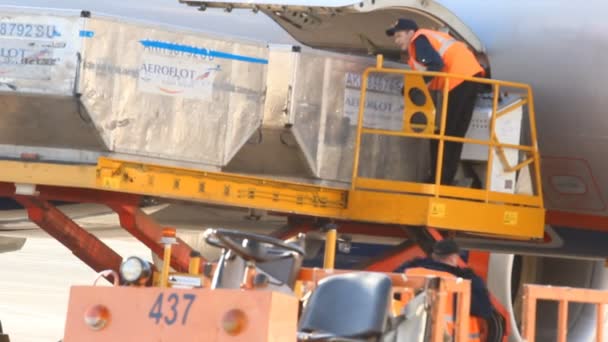 UFA, RUSSIA - APRIL 16: The unloading luggage from the plane. Ufa Airport on April, 2013 in UFA, Russia. — Stock Video