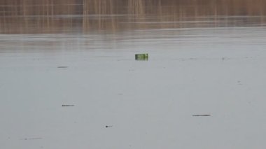 Nehirler kirliliği. çöp, şişeler