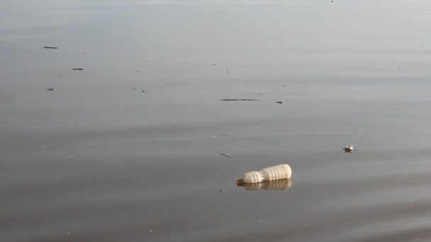 河流的污染。垃圾瓶 — Stock video