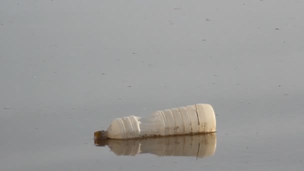 Pollution of rivers. Garbage, bottles — Stock Video