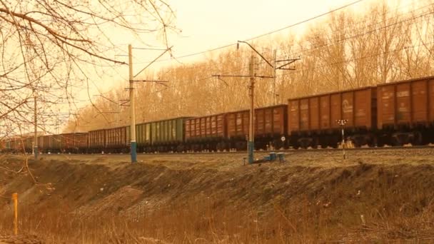 Transporte de carbón por ferrocarril. ferrocarriles — Vídeos de Stock