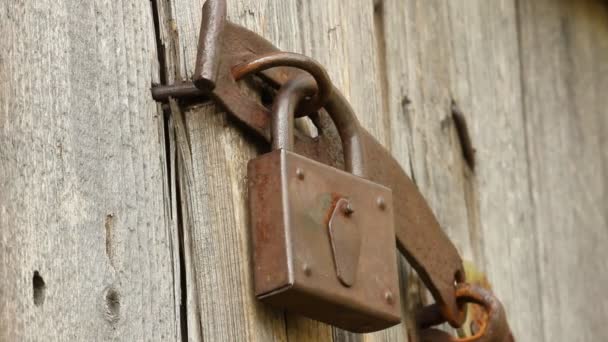 A woman opens an old padlock on a shed — Stock Video
