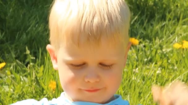 Ξανθό αγόρι σε ένα ξέφωτο ανάμεσα στα λουλούδια και πικραλίδες — Αρχείο Βίντεο