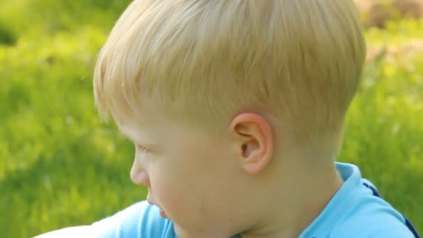 Smiling blond boy on a background of green grass. — Stock Video