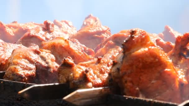 Shish kebab on the grill — Stock Video