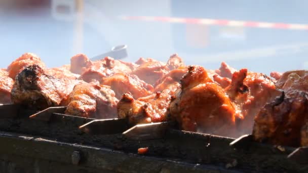 Shish kebab en la parrilla — Vídeos de Stock