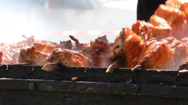 Shish kebab en la parrilla — Vídeos de Stock