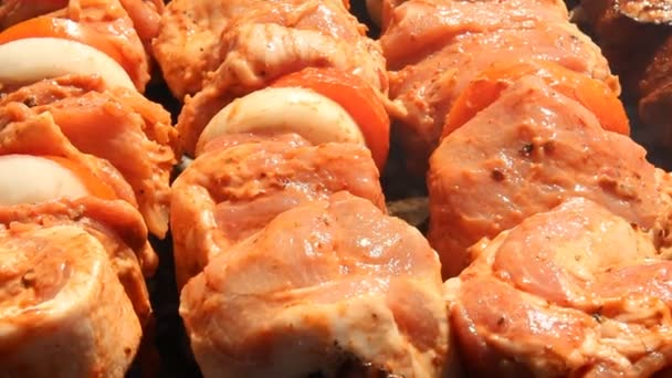 Shish kebab on the grill — Stock Video