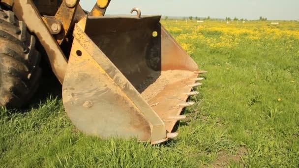 Трактор с ведром в поле — стоковое видео