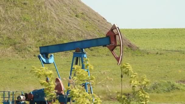 Crude oil production. oil rocking chair — Stock Video