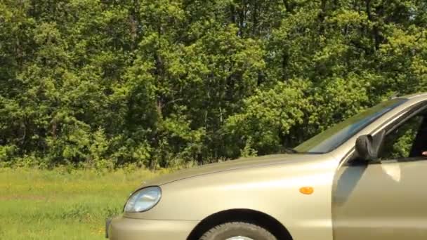 Mannen på öppna huven på trasiga bil — Stockvideo