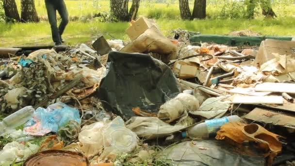 El hombre tira basura del coche en el bosque. Contaminación ambiental — Vídeo de stock